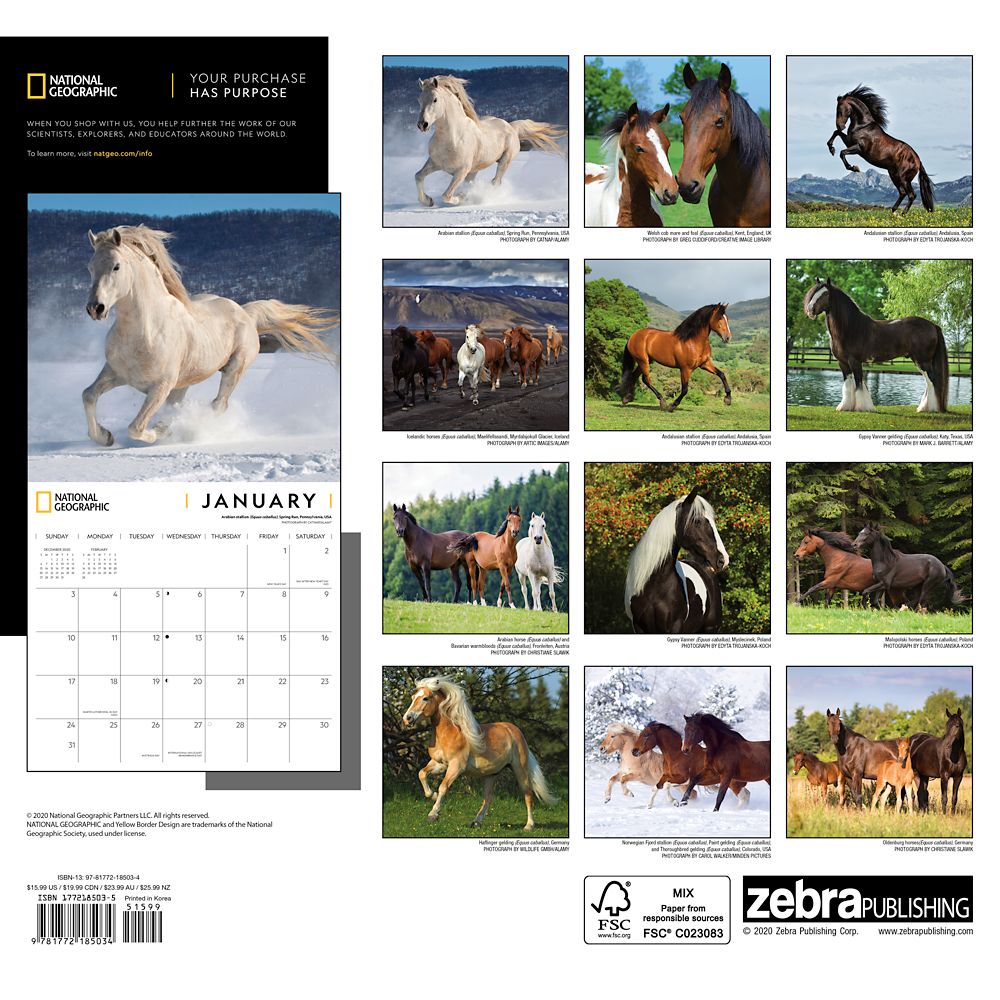 National Geographic 2021 Horses Wall Calendar