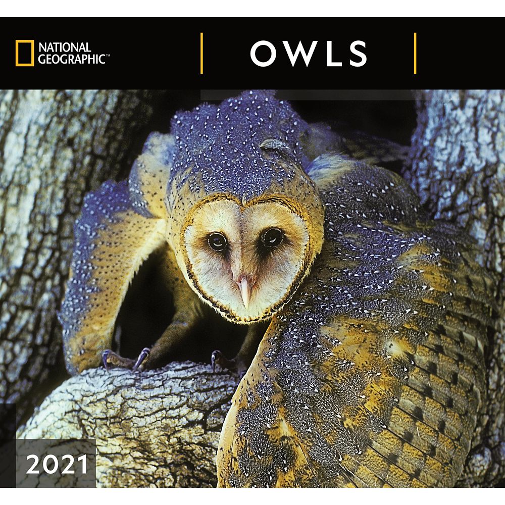 National Geographic 2021 Owls Wall Calendar