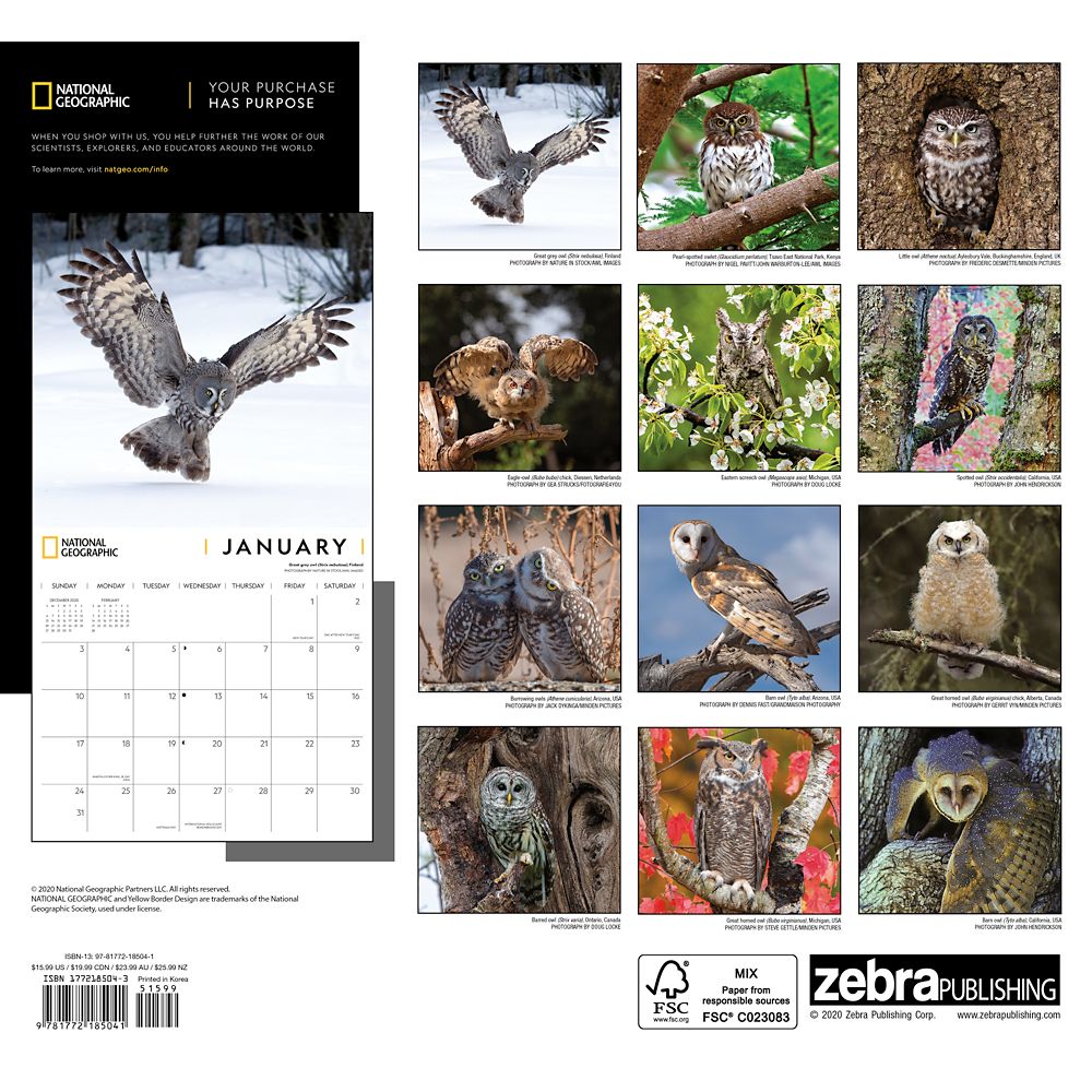 National Geographic 2021 Owls Wall Calendar