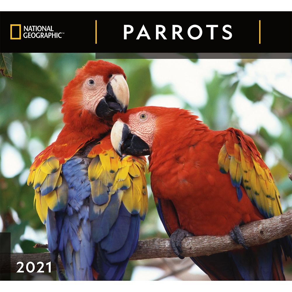 National Geographic 2021 Parrots Wall Calendar