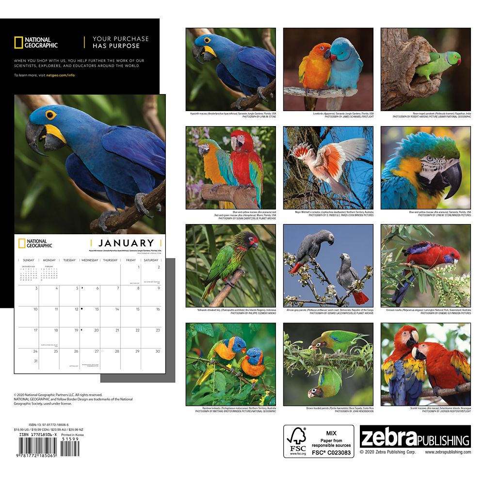 National Geographic 2021 Parrots Wall Calendar