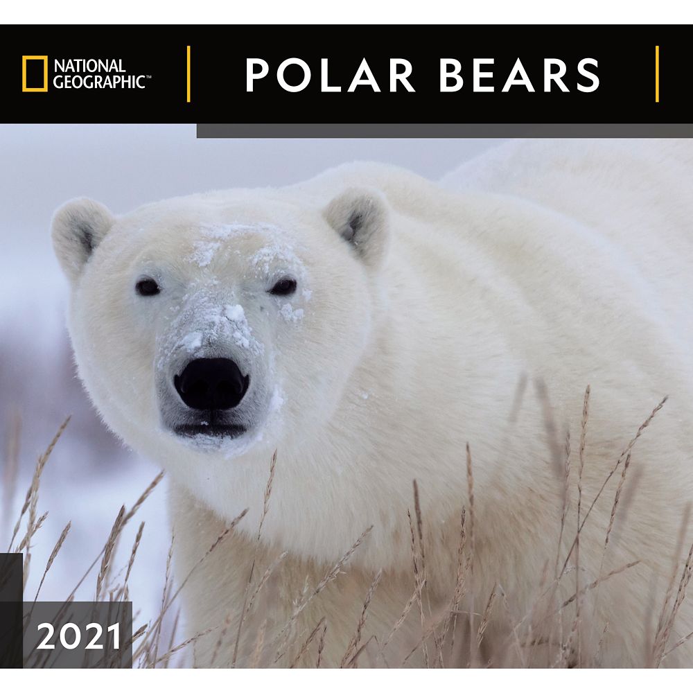 National Geographic 2021 Polar Bears Wall Calendar