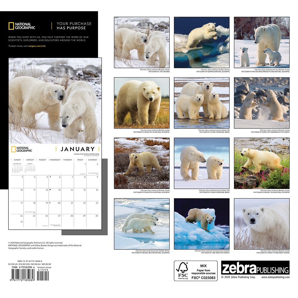 National Geographic 2021 Polar Bears Wall Calendar