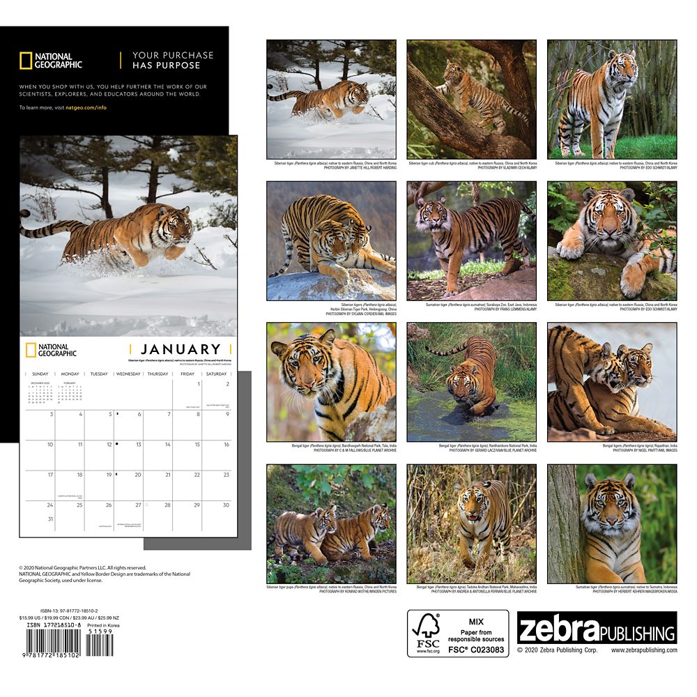 National Geographic 2021 Tigers Wall Calendar