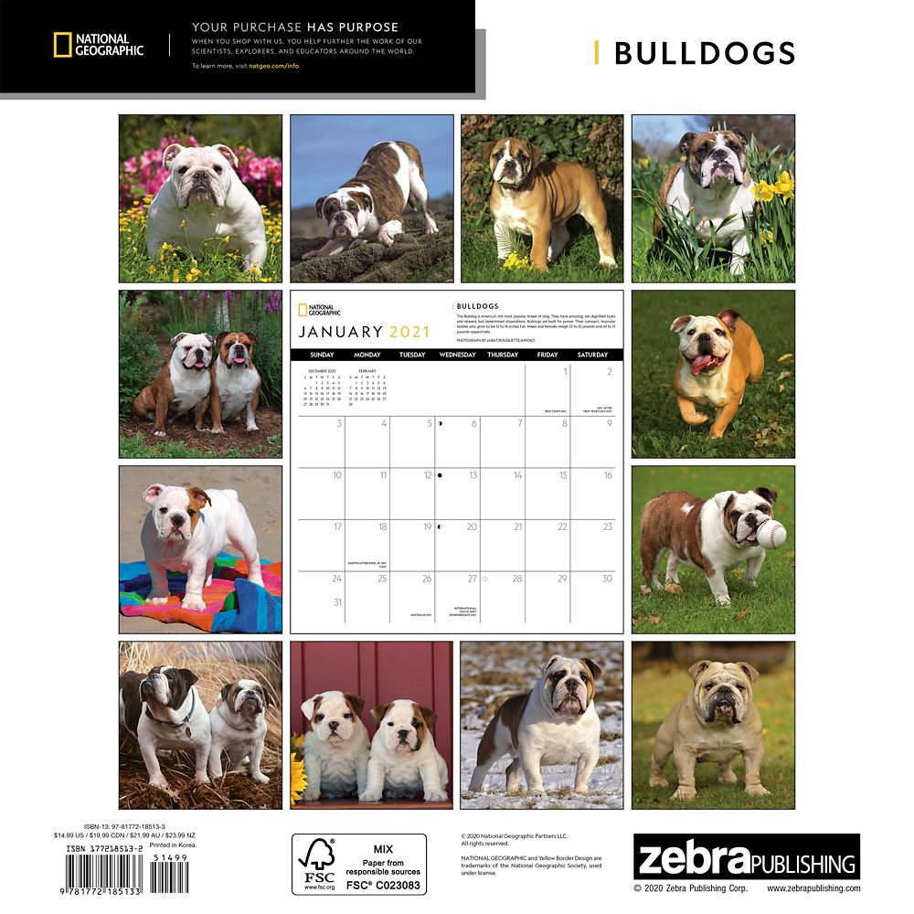 National Geographic 2021 Bulldogs Wall Calendar