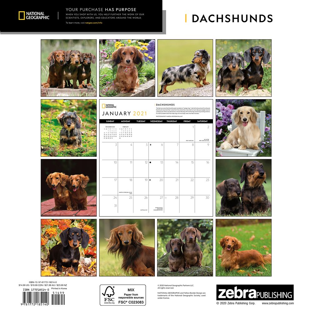 National Geographic 2021 Dachshund Wall Calendar