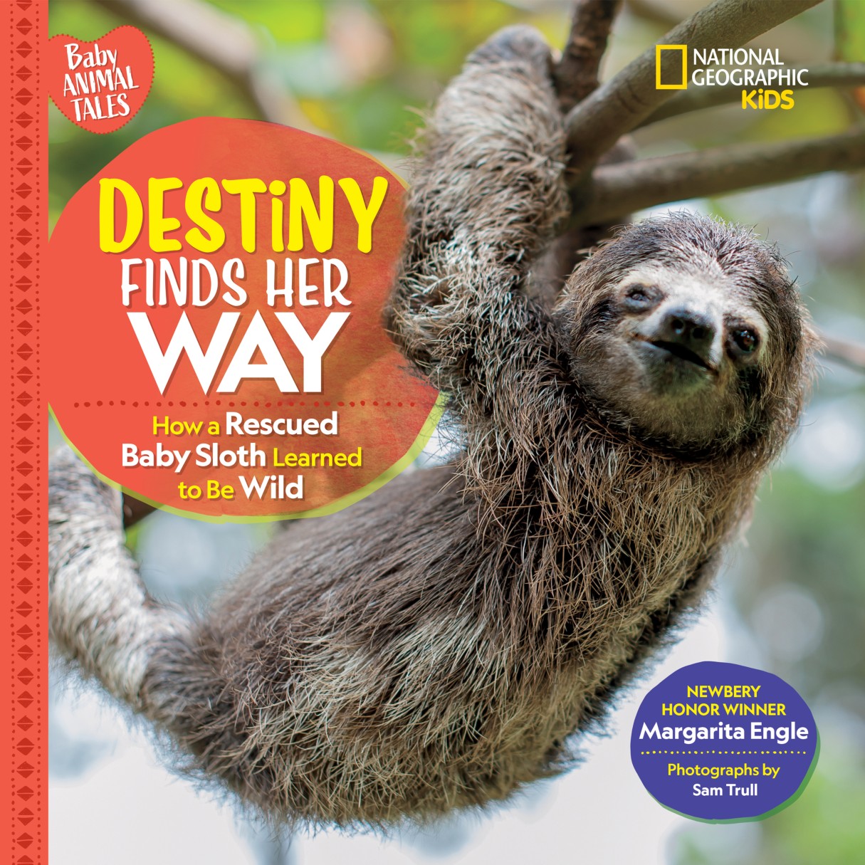 Destiny Finds Her Way: How a Rescued Baby Sloth Learned to Be Wild Book – National Geographic Kids