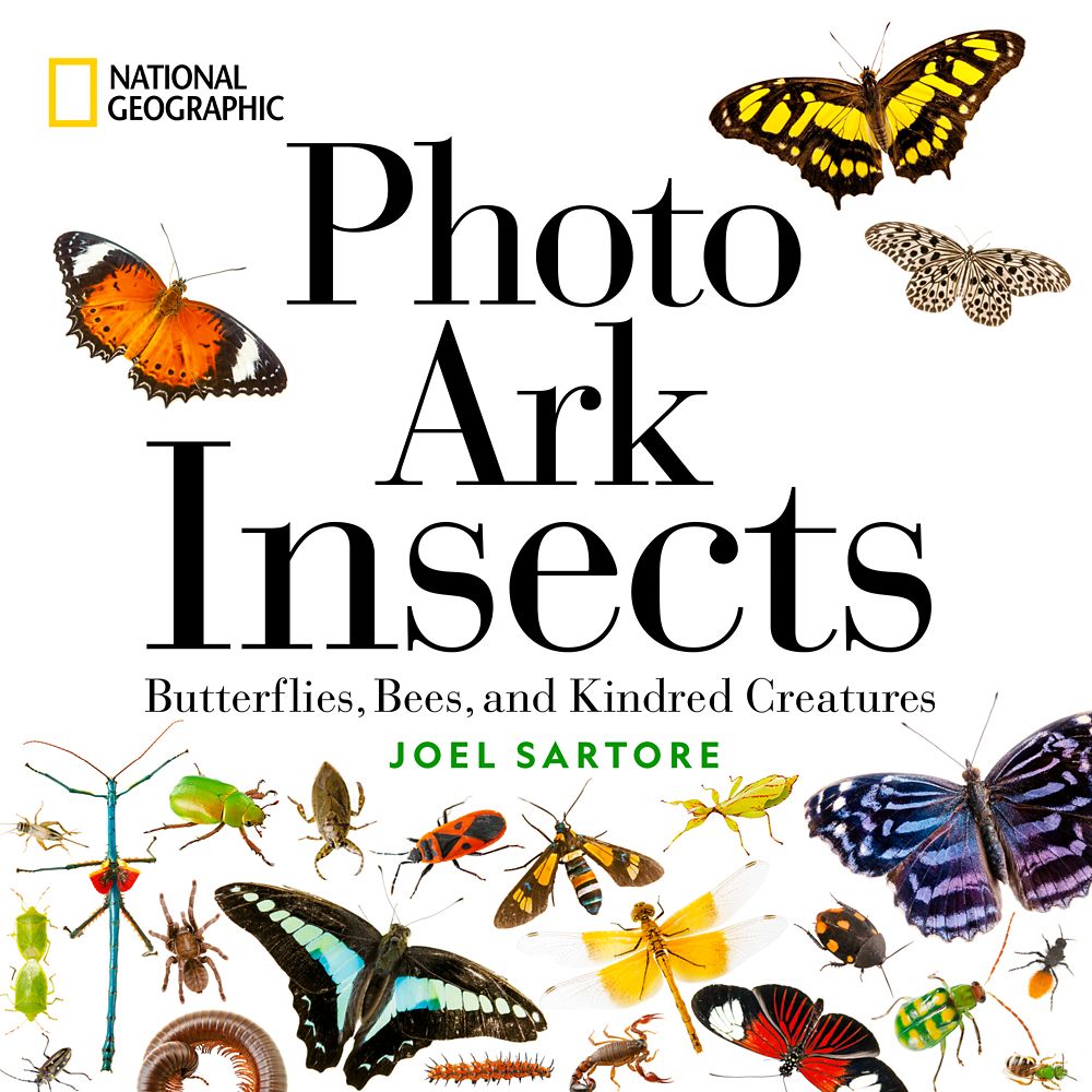 Photo Ark Insects: Butterflies, Bees, and Kindred Creatures Book – National Geographic – Buy Now