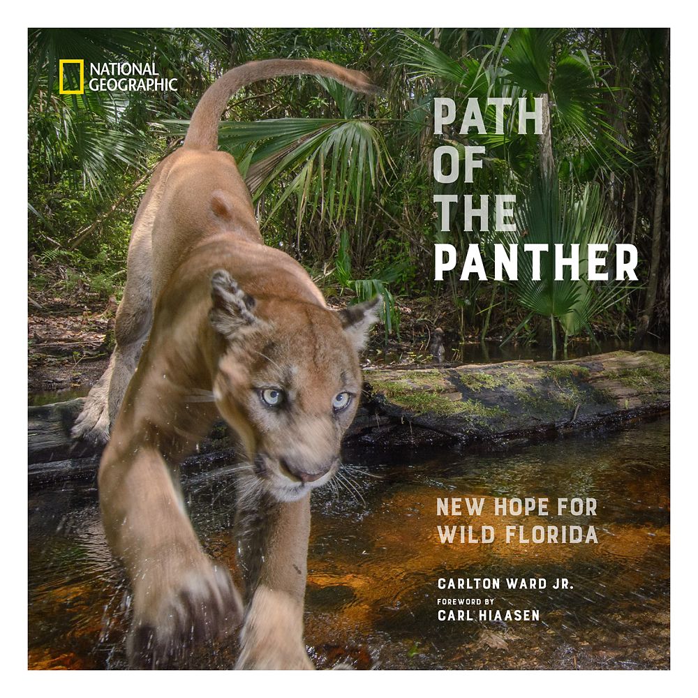 Path of the Panther Book – National Geographic – Buy It Today!