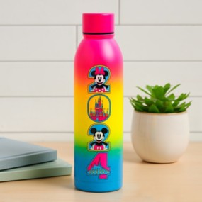 Disney Mickey Minnie Sunset Aluminum Water Bottle