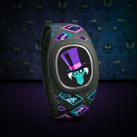 Background image of MagicBands