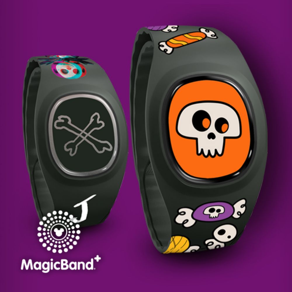 Background image of Unlock the MagicBand+