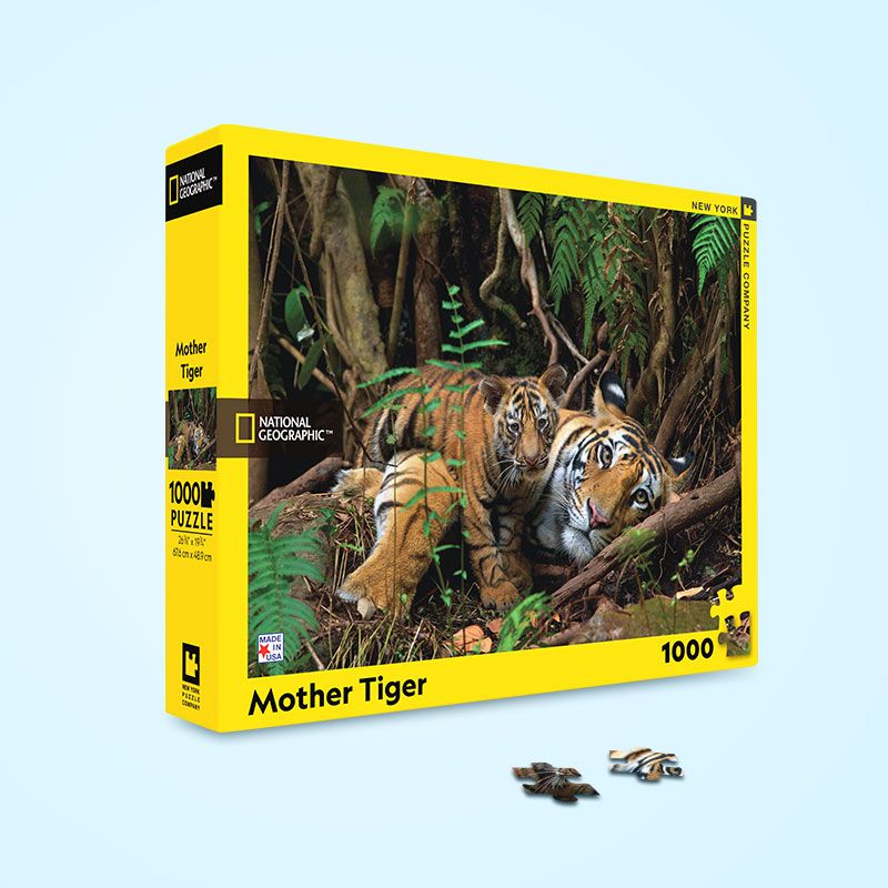 Background image of Put Your Skills to the Test