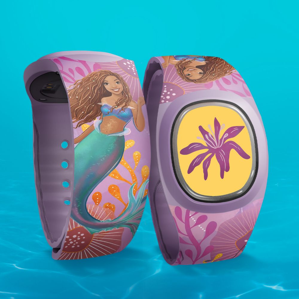 Background image of MagicBands