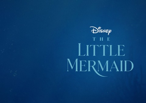 The Little Mermaid Costumes, Toys & Clothing