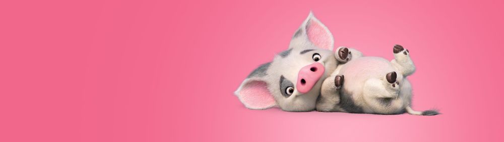 pua pig costume baby