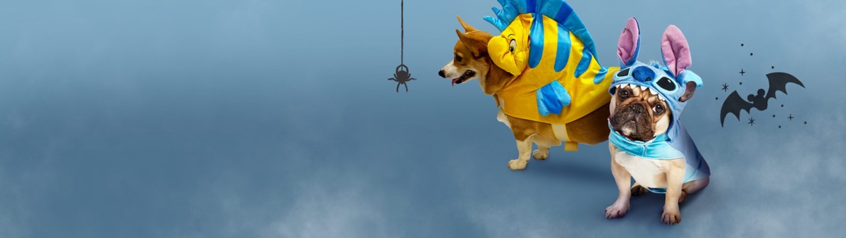 Background image of Halloween Dog & Cat Pet Costumes